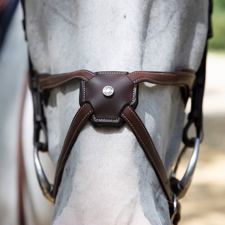 Origin Figure 8 Noseband Bridle close up