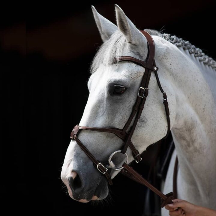 Origin Figure 8 Noseband Bridle