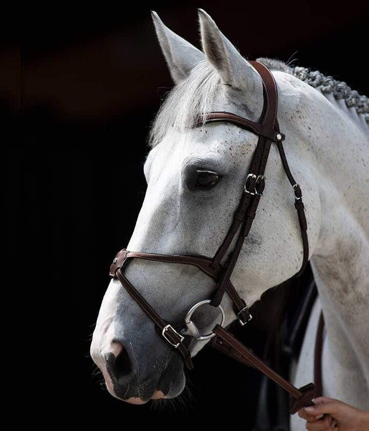 Origin Figure 8 Noseband Bridle