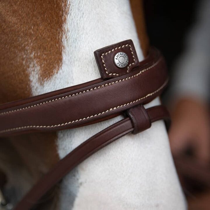 Origin Anatomic Flash Noseband Bridle close up