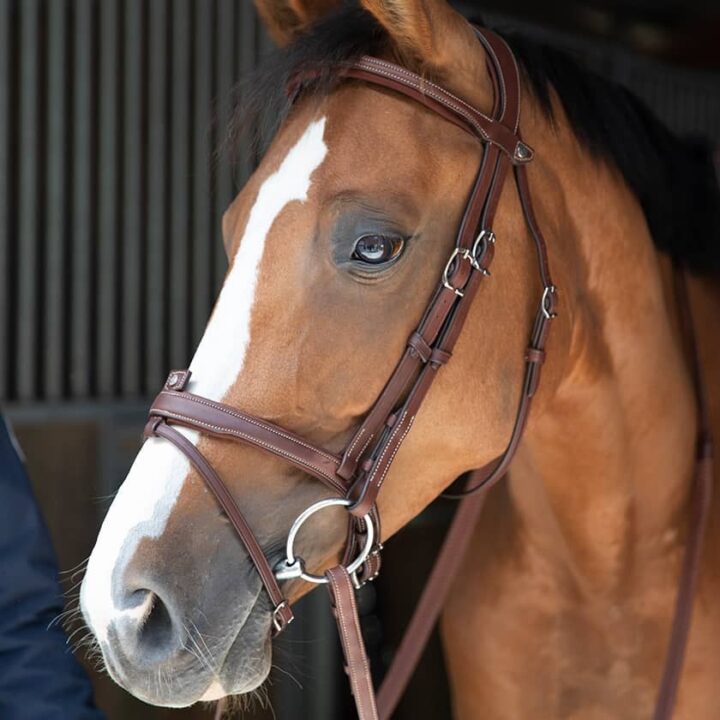 Origin Anatomic Flash Noseband Bridle