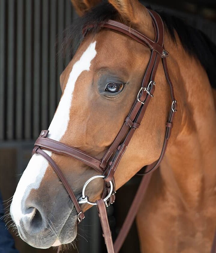 Origin Anatomic Flash Noseband Bridle