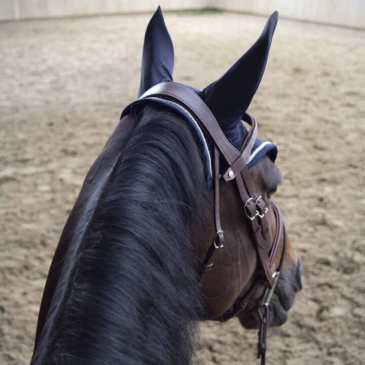 Origin Anatomic Flash Noseband Bridle Nakke