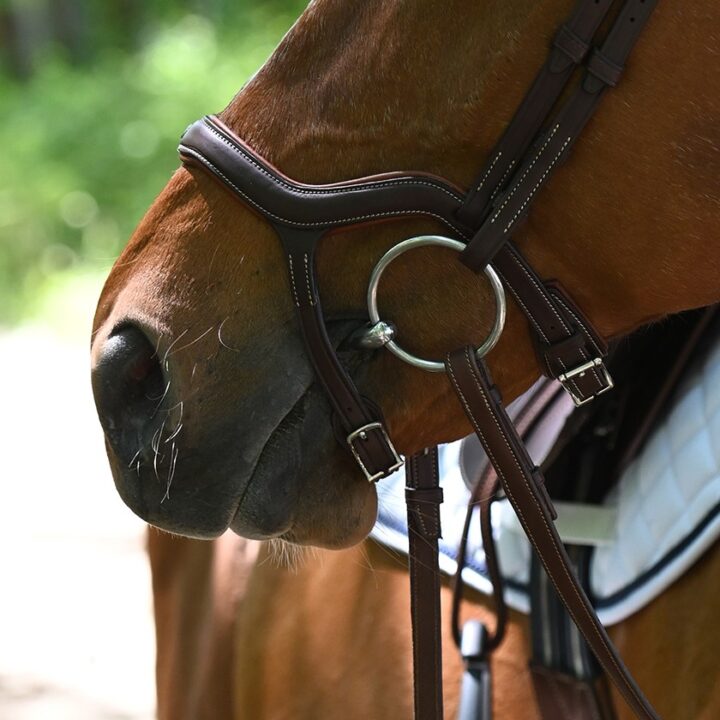 Precision Y Noseband Anatomic Bridle close up